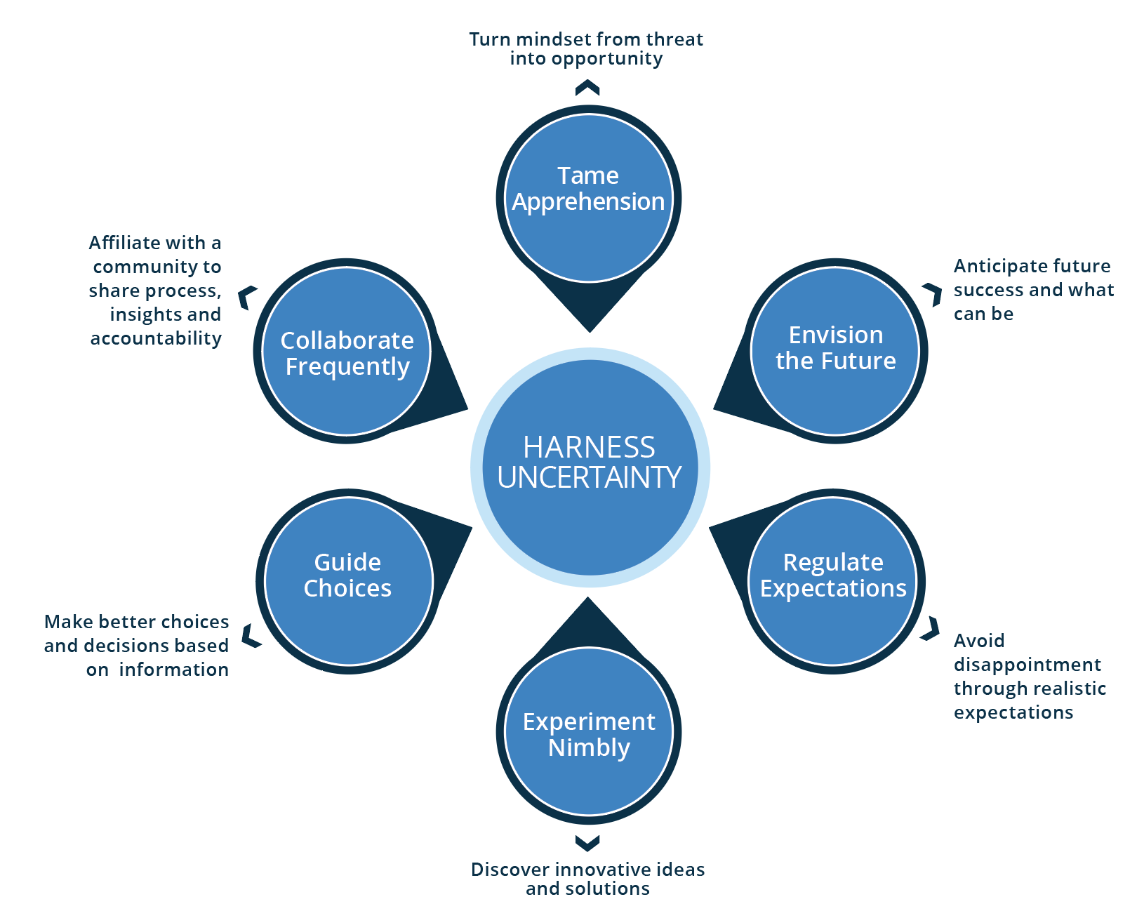 Six Principles for leaders to Harness Uncertainty